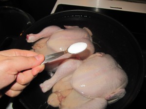 10 kog kyllingen med godt med salt