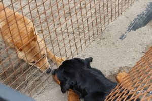 IMG_7067